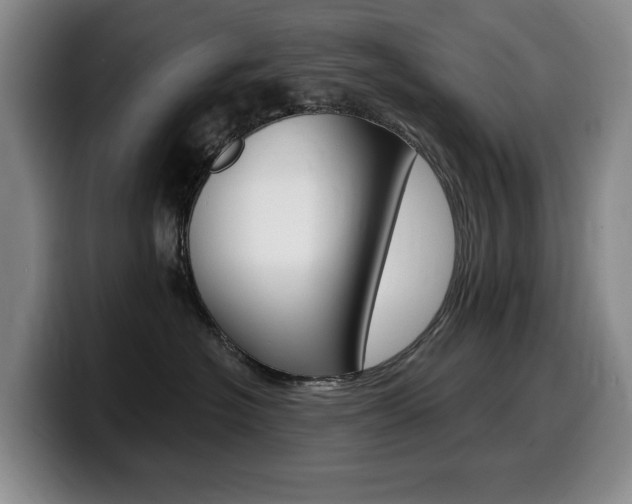 X0000099450574200805090730