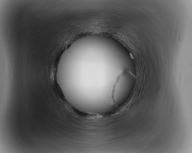 X0000099450576200805090730
