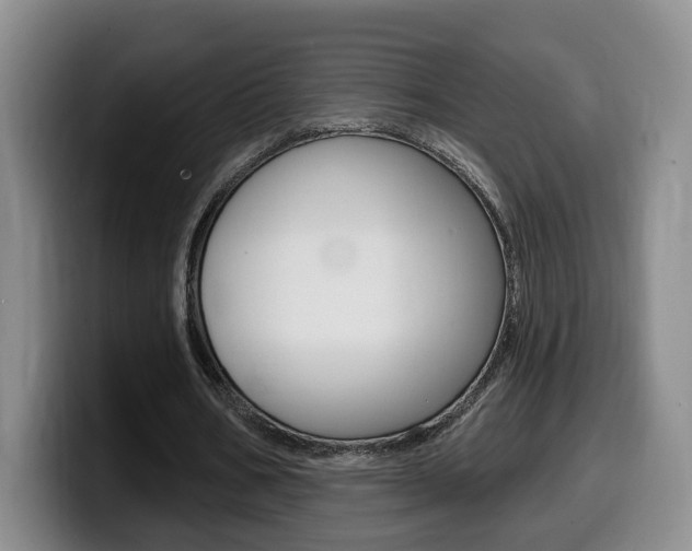 X0000099450578200805090729