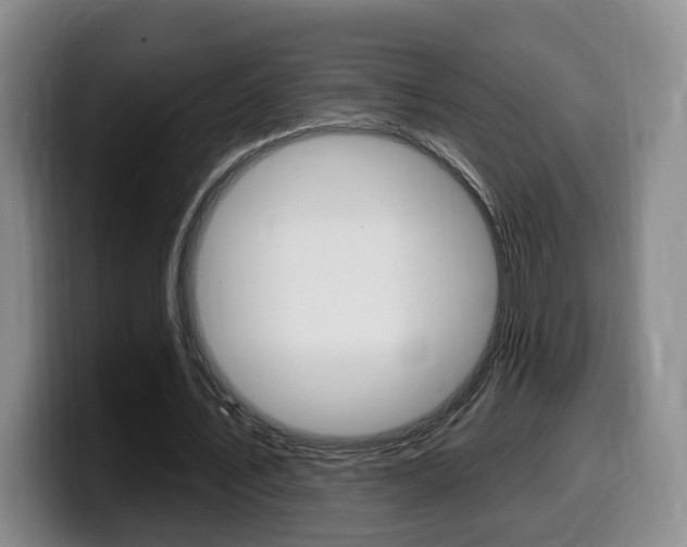 X0000099450579200805090729