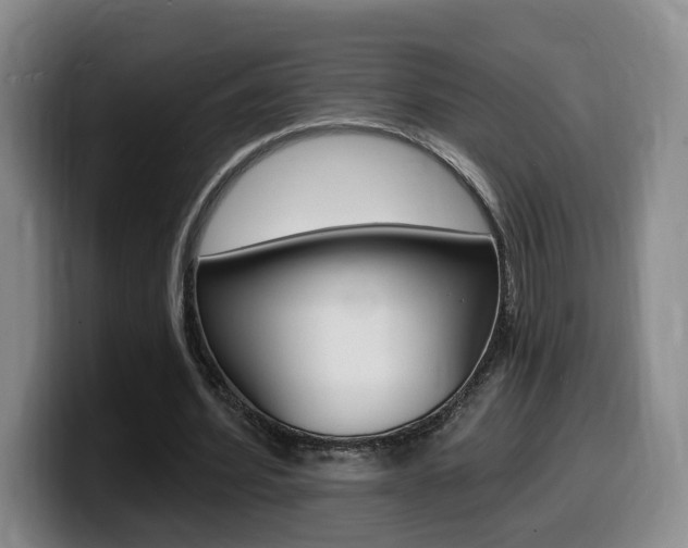 X0000099450580200805090729