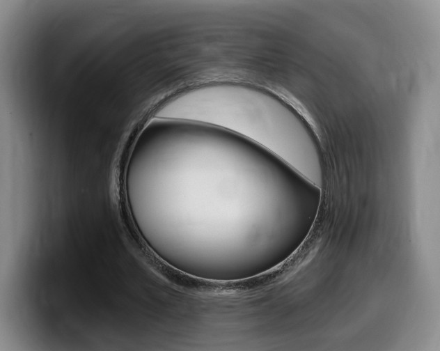 X0000099450581200805090729