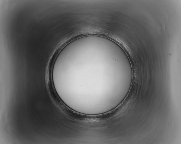 X0000099450582200805090729