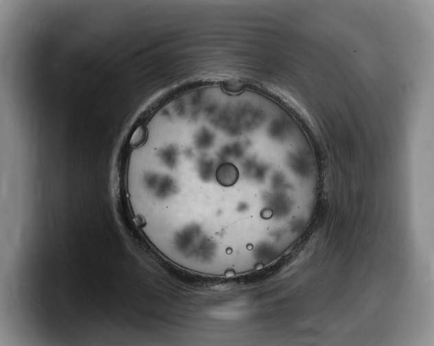 X0000099450584200805090729