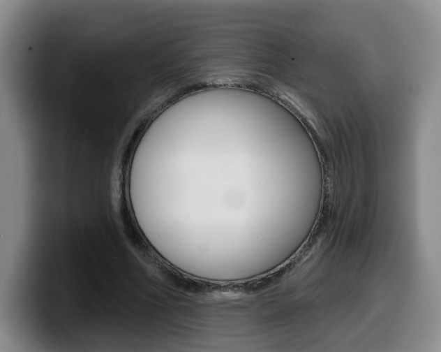 X0000099450586200805090729