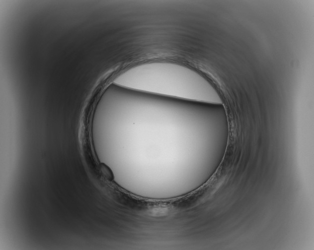 X0000099450587200805090729