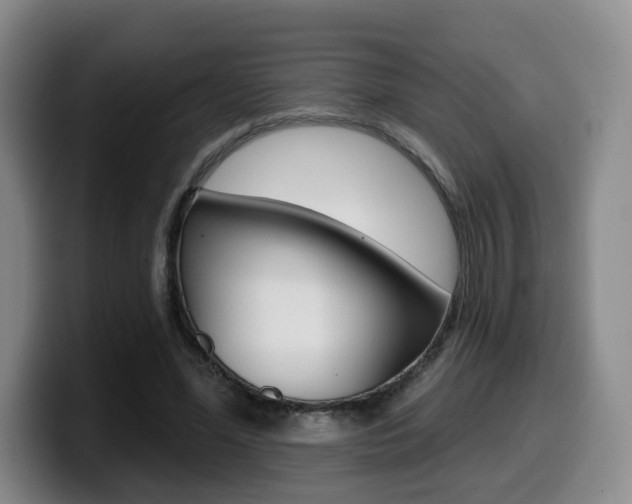 X0000099450588200805090729