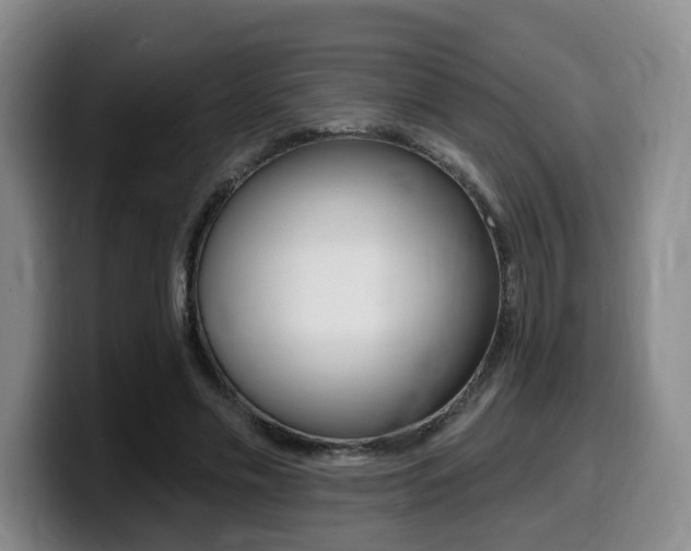 X0000099450589200805090729