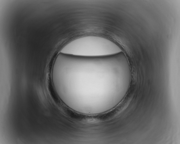 X0000099450590200805090729