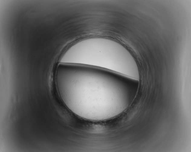 X0000099450592200805090729