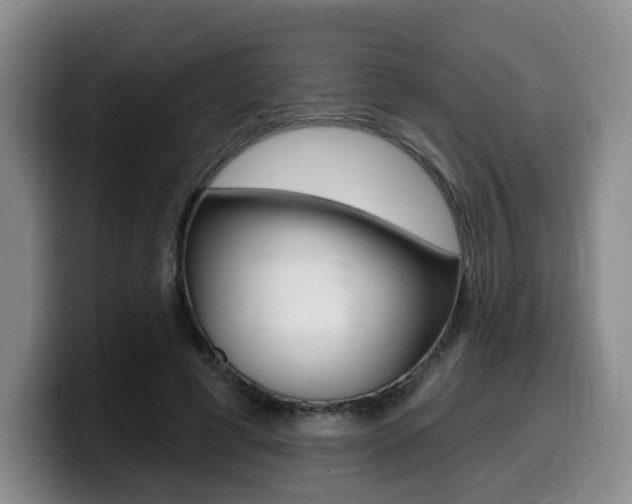 X0000099450593200805090729