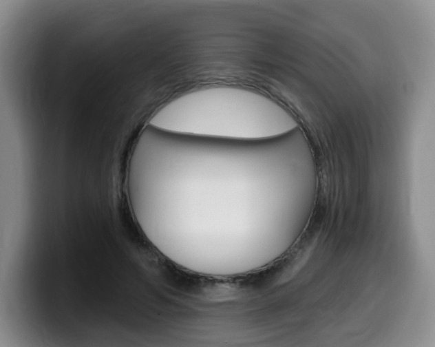 X0000099450594200805090729