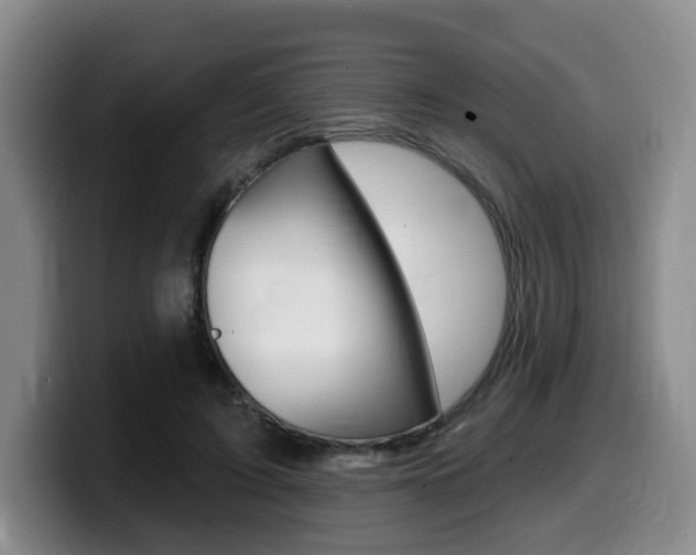 X0000099450595200805090729