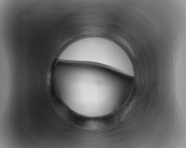 X0000099450596200805090729