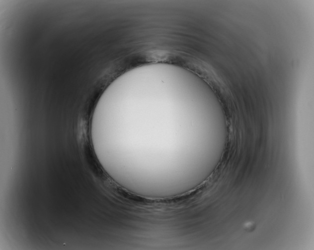 X0000099450598200805090729