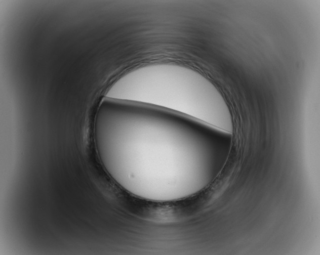 X0000099450600200805090729