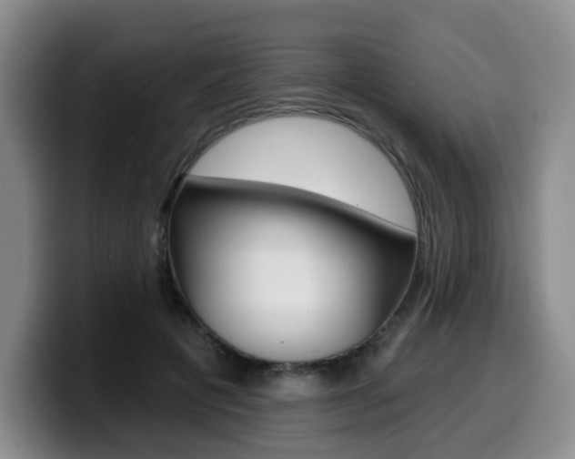 X0000099450601200805090729