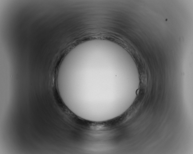 X0000099450602200805090729