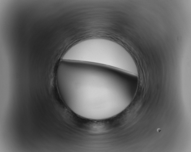 X0000099450604200805090729