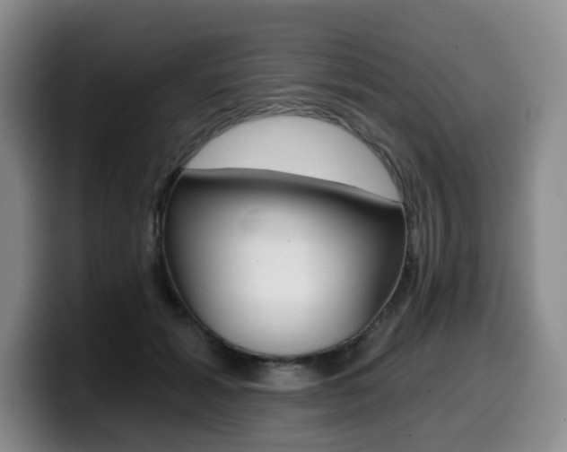 X0000099450605200805090729