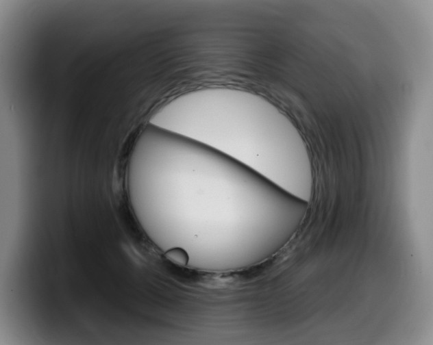 X0000099450607200805090729