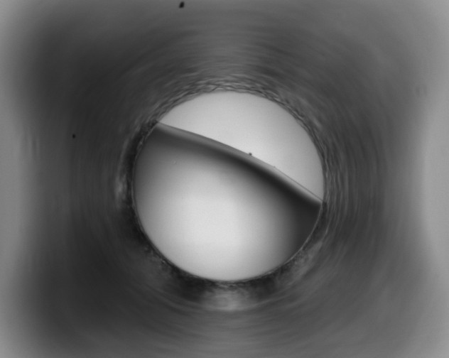 X0000099450608200805090729