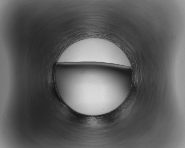 X0000099450616200805090729