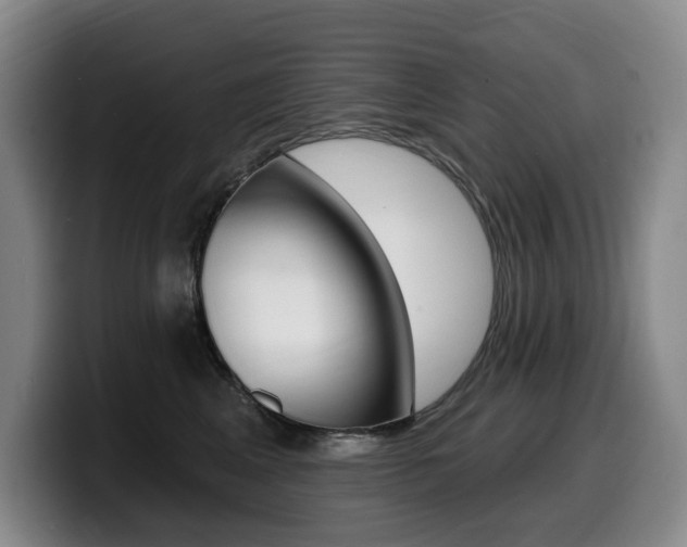 X0000099450617200805090729
