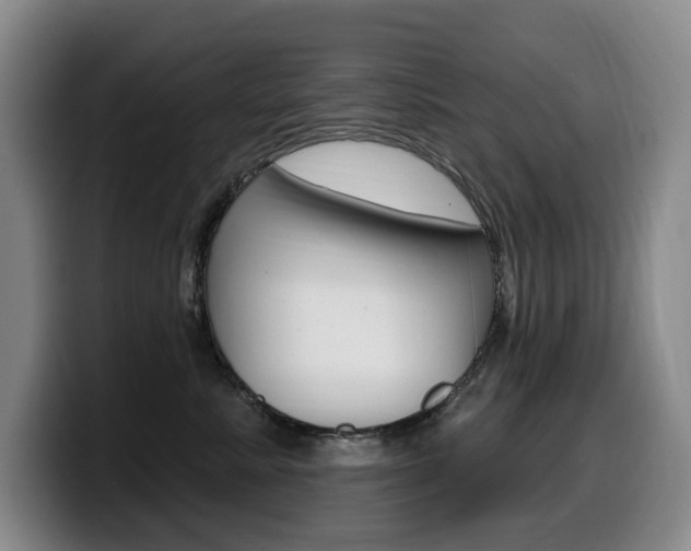 X0000099450619200805090729