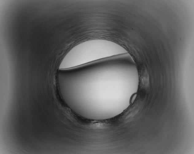 X0000099450620200805090729