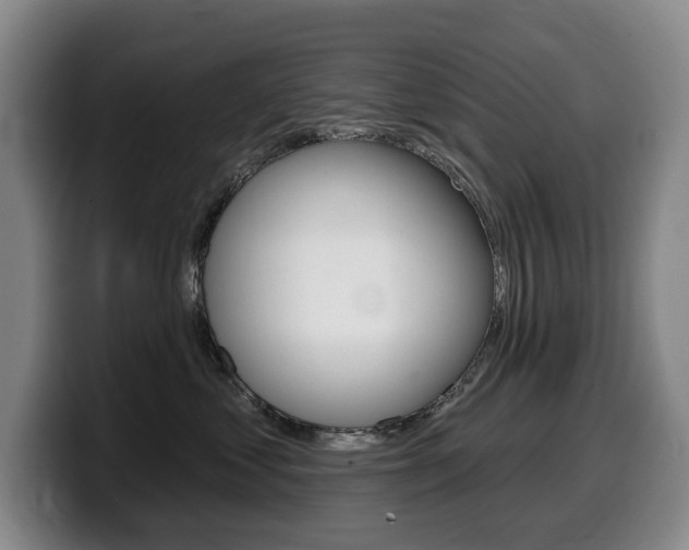 X0000099450621200805090729