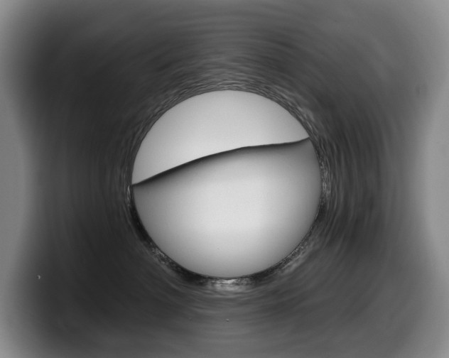 X0000099450622200805090729