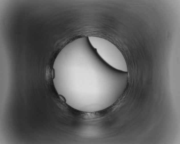 X0000099450623200805090728