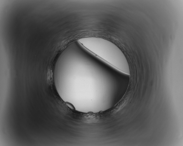 X0000099450624200805090728