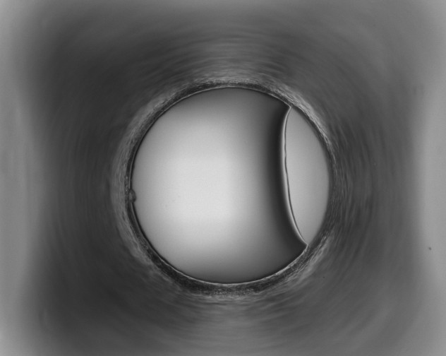 X0000099450625200805090728