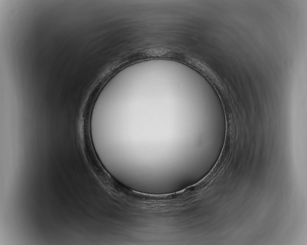 X0000099450626200805090728