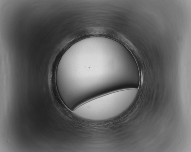 X0000099450627200805090728