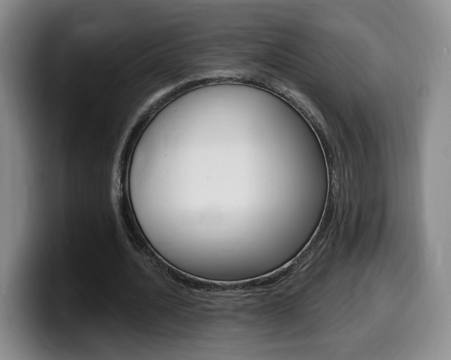 X0000099450628200805090728
