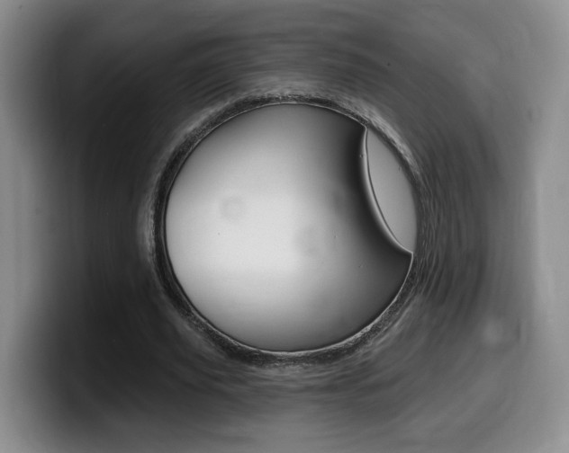 X0000099450629200805090728