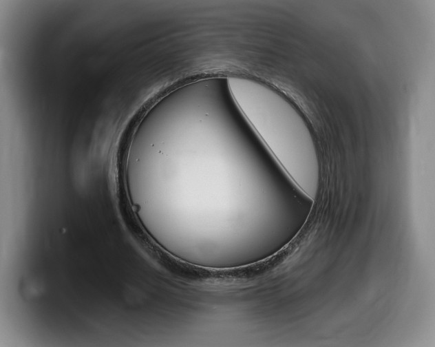 X0000099450630200805090728