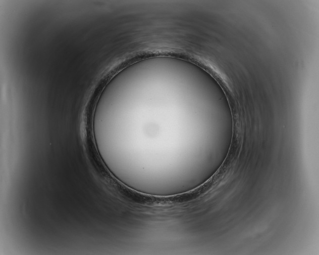 X0000099450631200805090728
