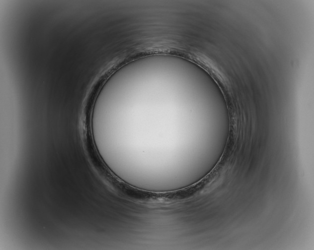 X0000099450634200805090728