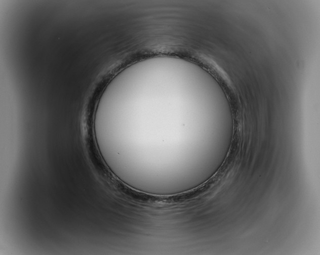 X0000099450635200805090728