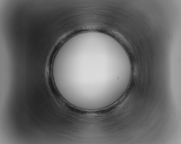 X0000099450636200805090728