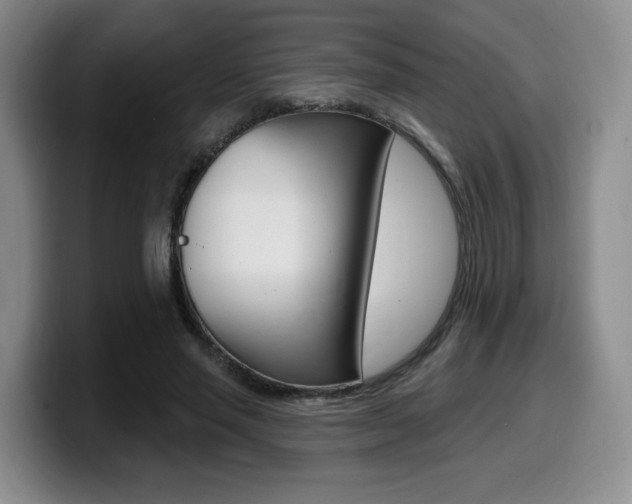 X0000099450637200805090728