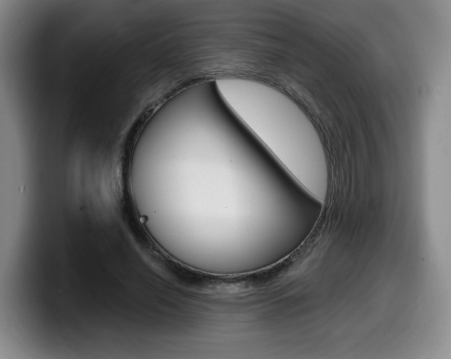X0000099450638200805090728