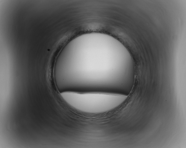 X0000099450640200805090728
