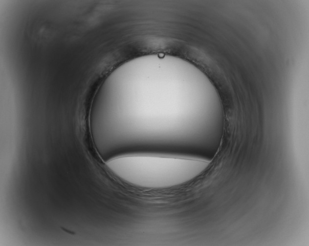 X0000099450642200805090728
