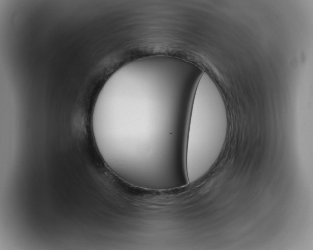 X0000099450643200805090728