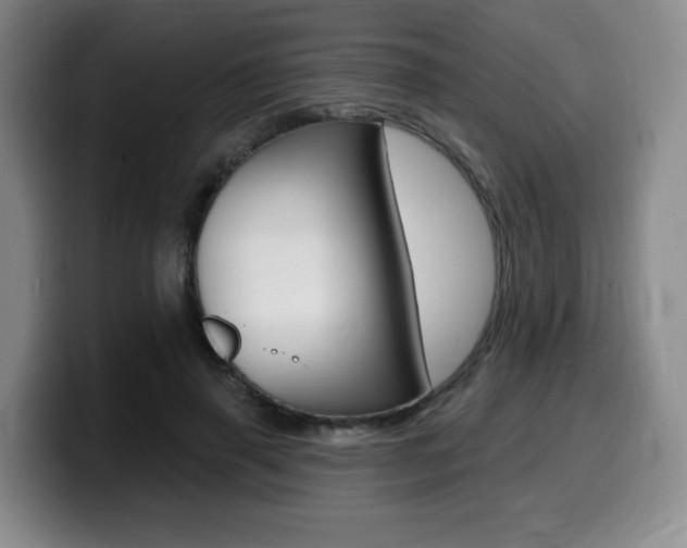 X0000099450645200805090728